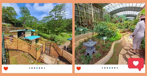baguio zoos|Flora and Fauna Park – Baguio Country Club .